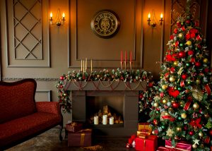 Dublin Christmas Trees Online